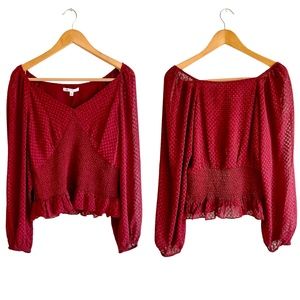 🌹2 for $20🌹NWT DR2 by Daniel Rainn Rectangle Clip Dot Smock Waist Blouse. M